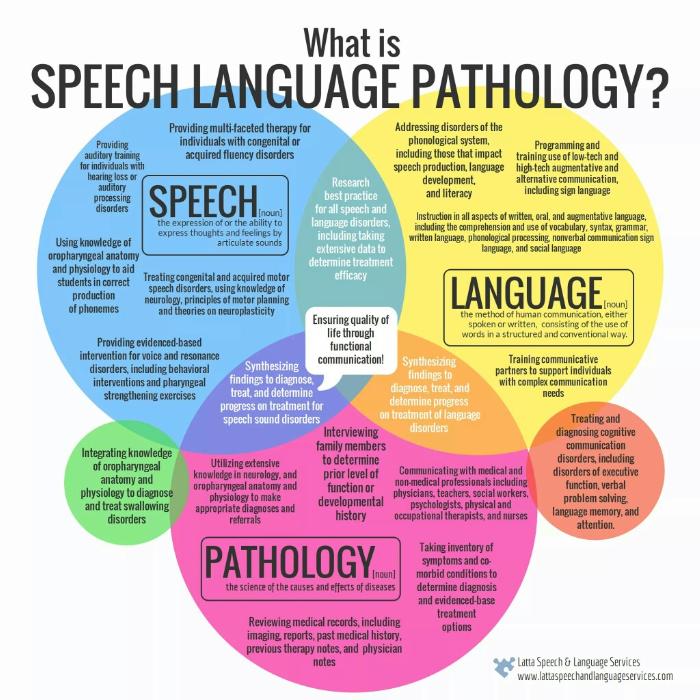 Speech/Language DIagram